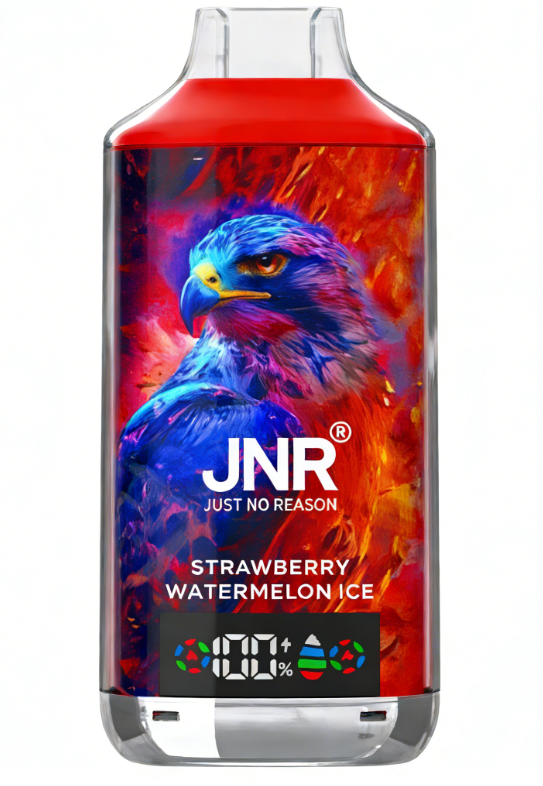 JNR Falcon 16000 Puffs Disposable Vape