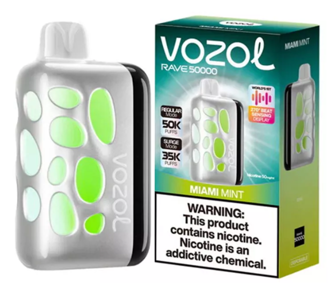 VOZOL RAVE 40000